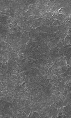 027 Untouched Enamel